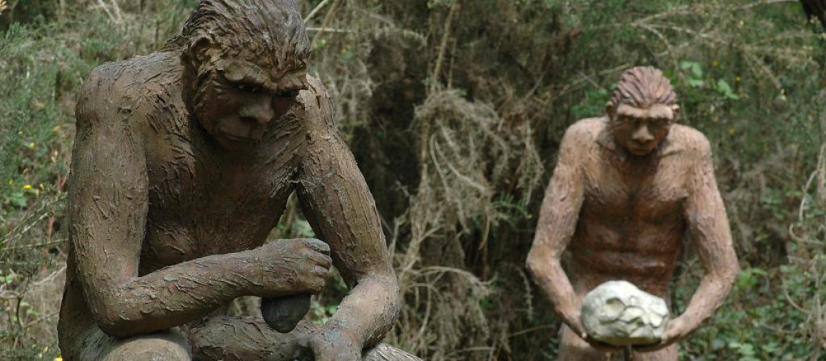 Figuras representativas del Homo erectus