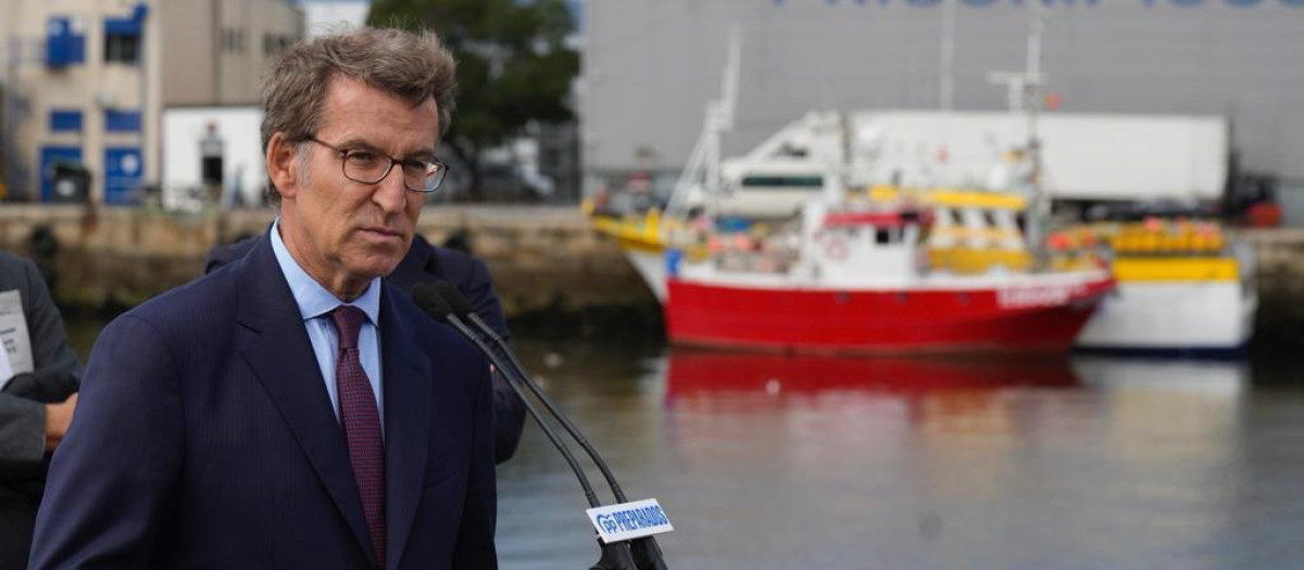 El presidente del PP, Alberto Núñez Feijóo
