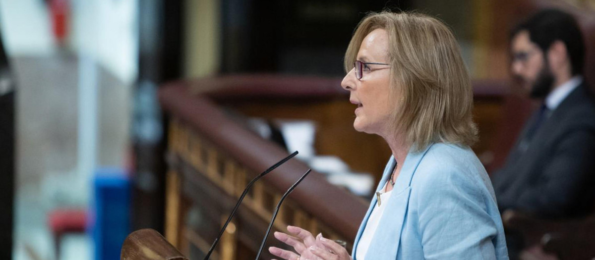 La diputada de Vox Lourdes Méndez durante el debate de la Ley del aborto