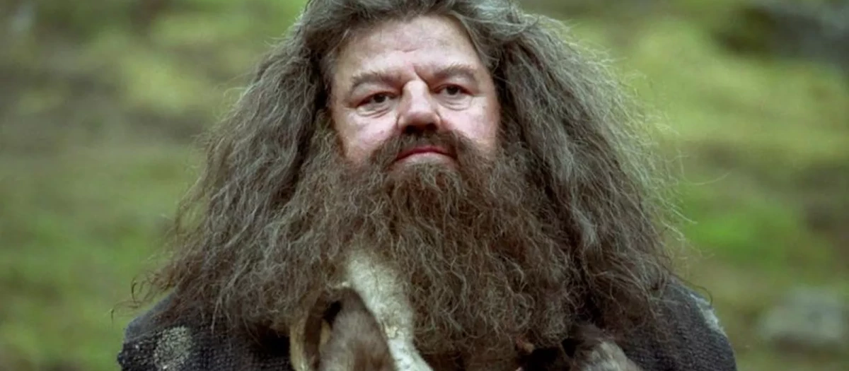 robbie coltrane