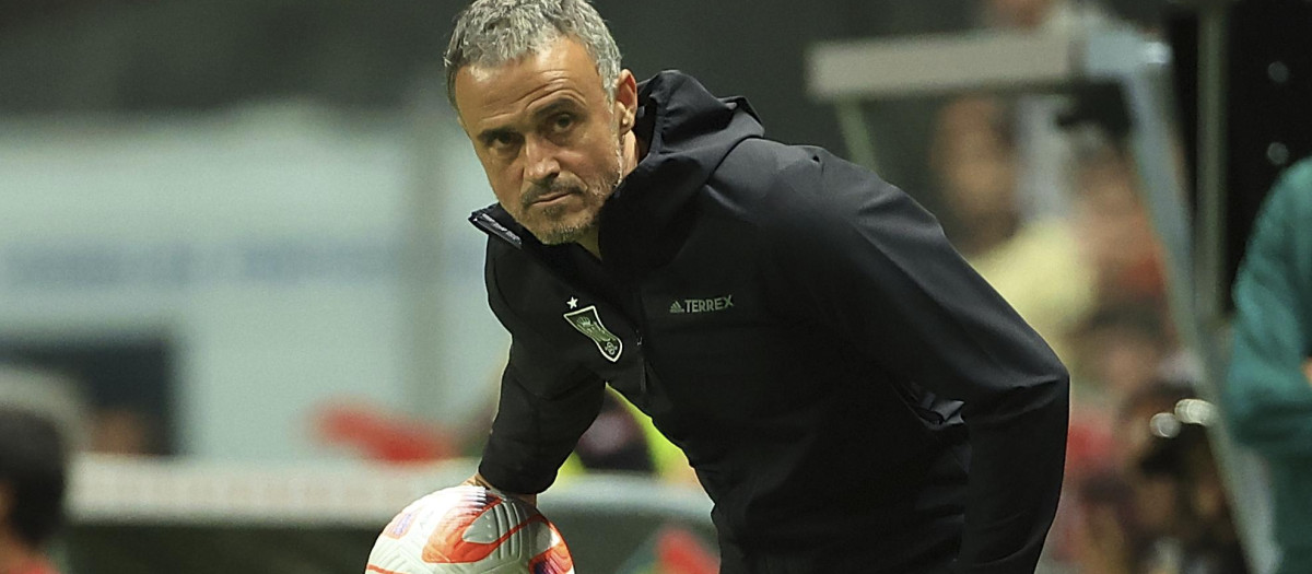 Luis Enrique, seleccionador de España