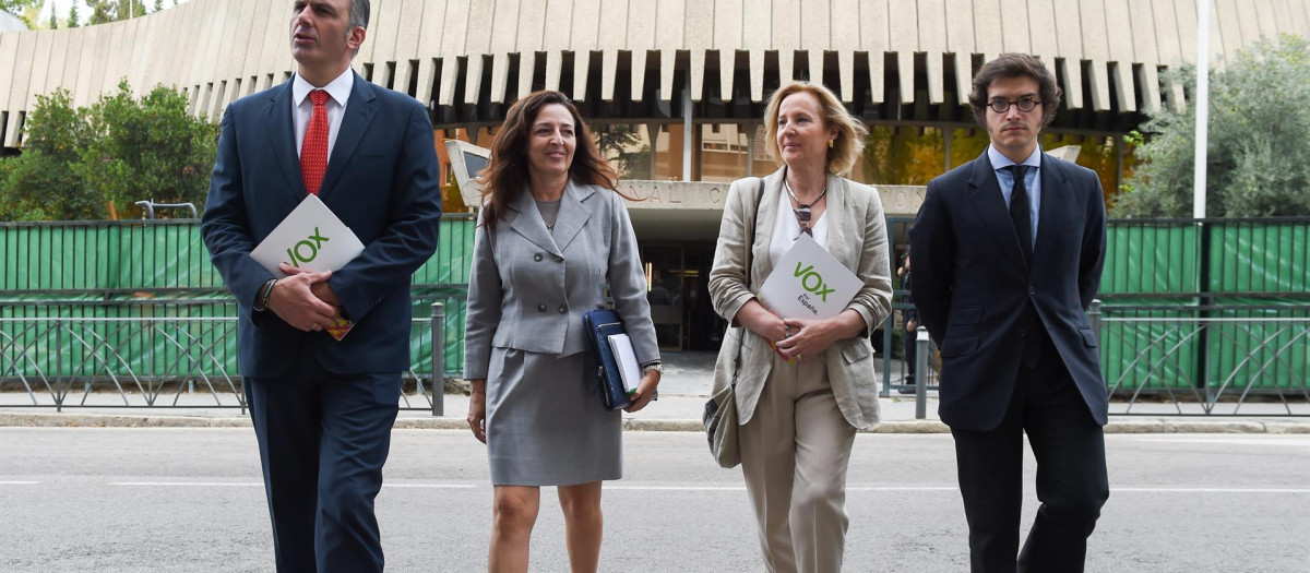 Vox lleva ante el Tribunal Constitucional la Ley de igualdad de trato y no discriminación