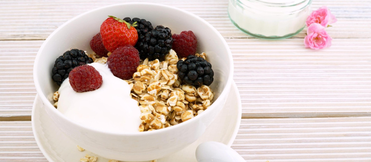 Yogur