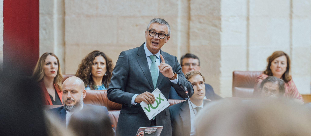 El portavoz de Vox en Andalucía, Manuel Gavira, durante su intervención en el Parlamento autonómico