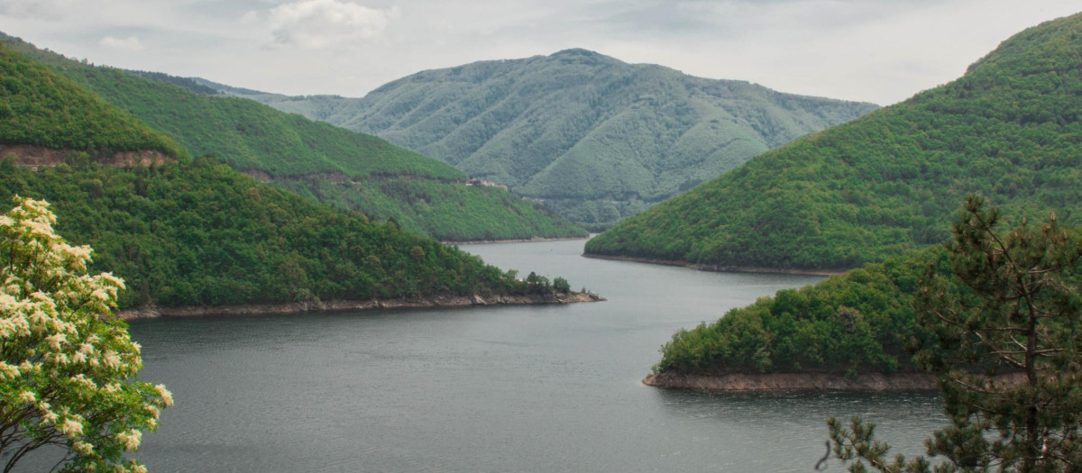 Brasil, Indonesia y el Congo han formado la OPEP de las selvas tropicales