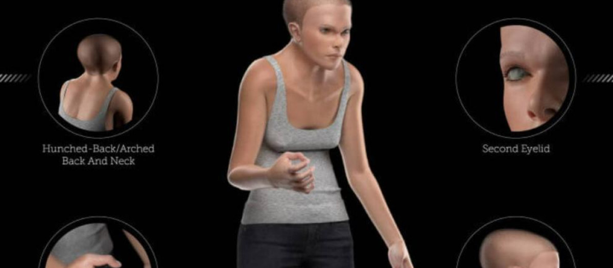 Mindy, la modelo diseñada por los investigadores