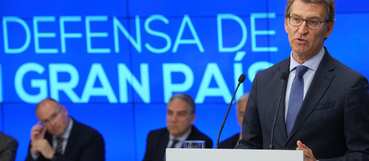 El presidente del PP, Alberto Núñez Feijóo