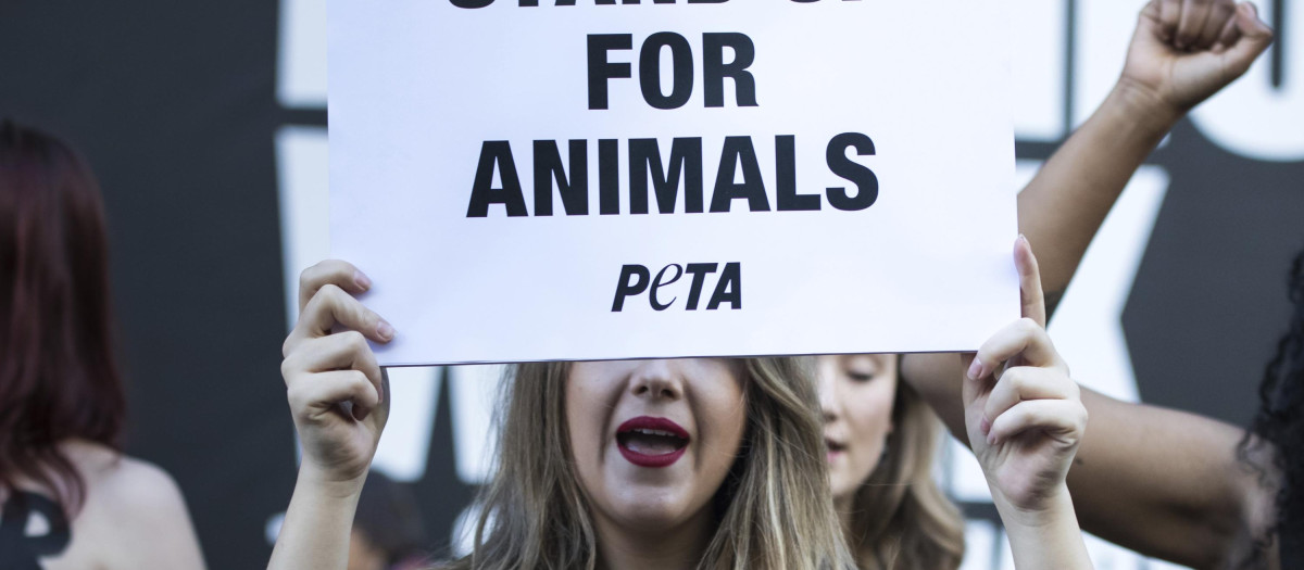 PETA quiere que todos los católicos se vuelvan veganos