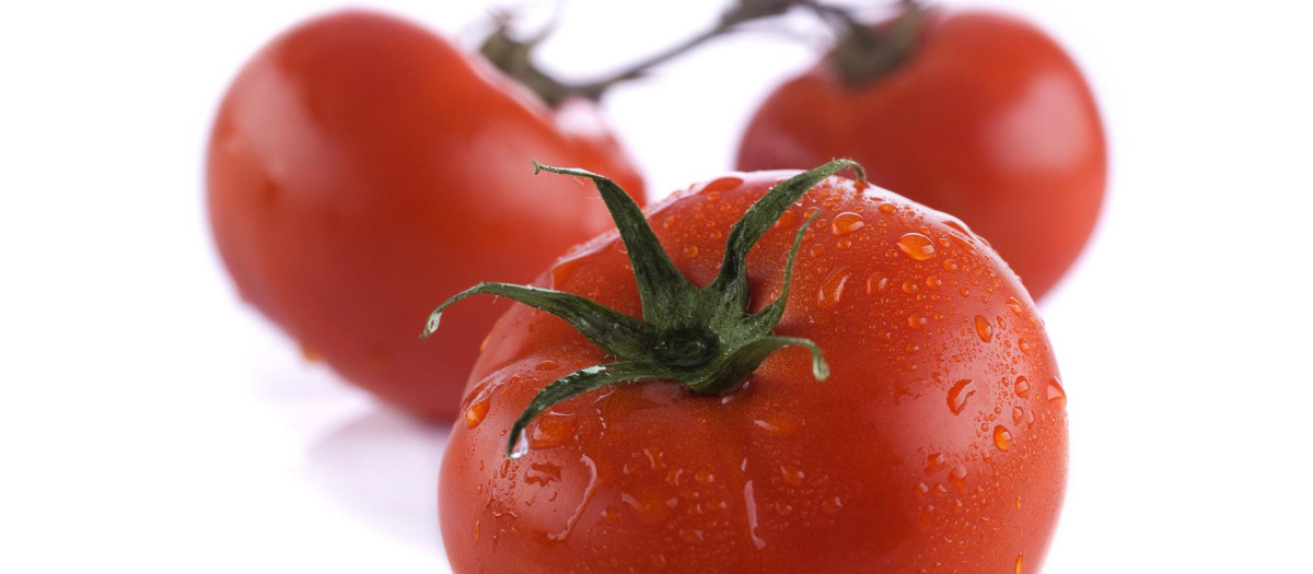 Los beneficios del tomate