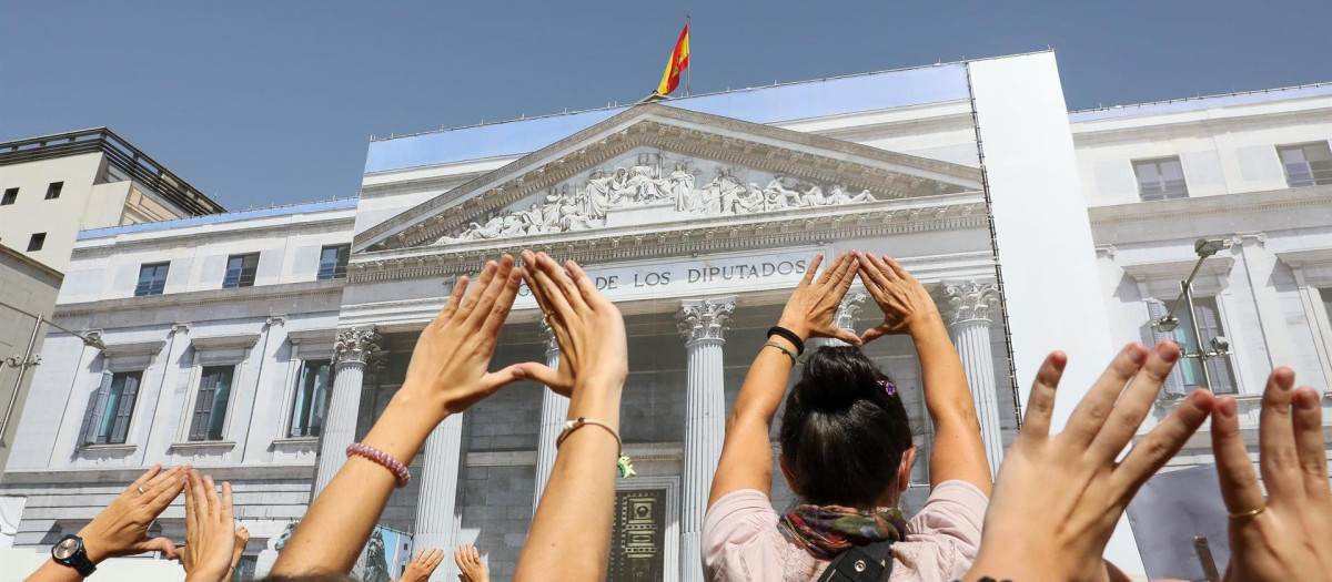 Un grupo de mujeres del Movimiento Feminista frente al Congreso de los Diputados