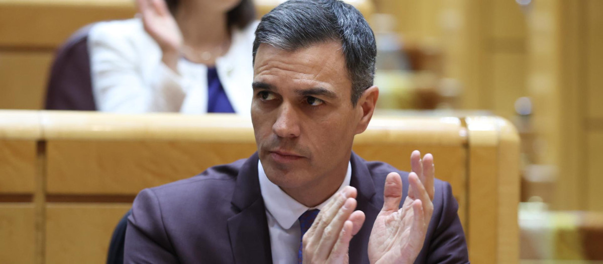 El presidente del Gobierno, Pedro Sánchez, el martes en el Senado.