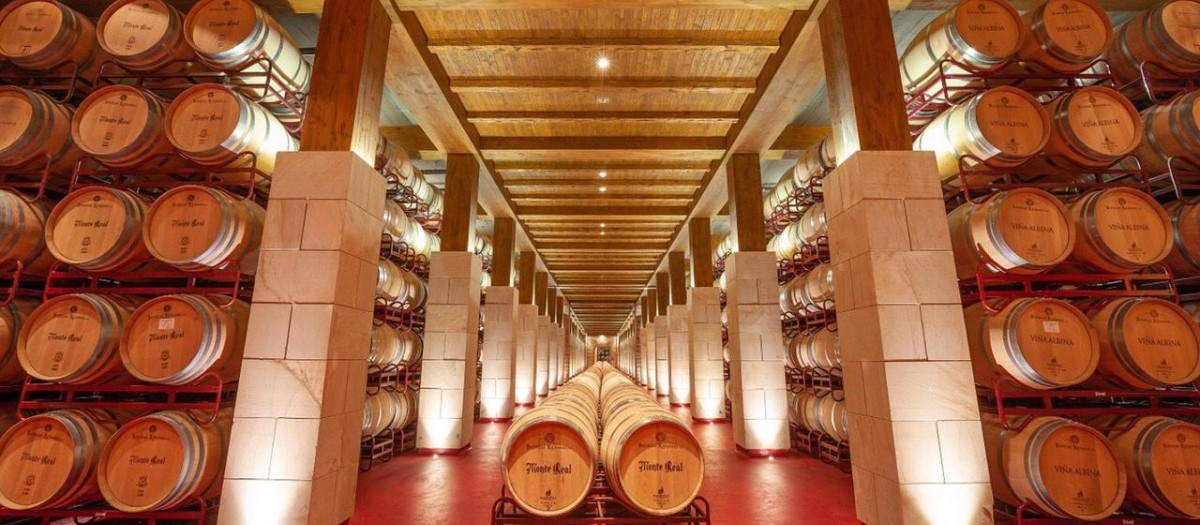 bodegas