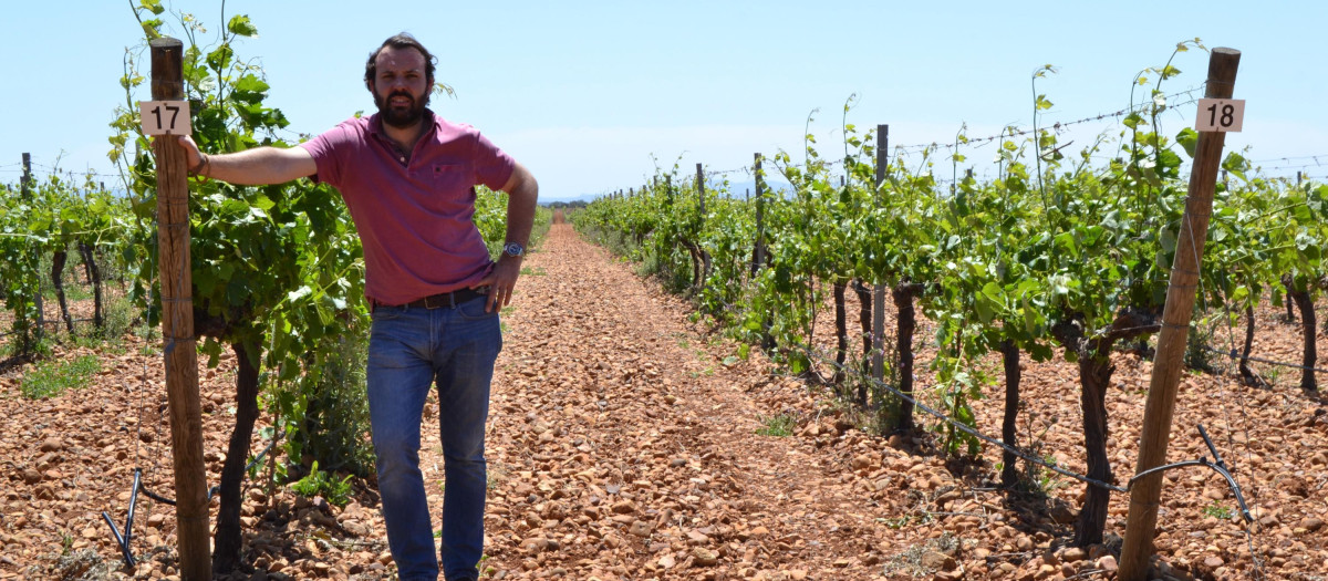 Finca de Familia Conesa, en Pago Guijoso