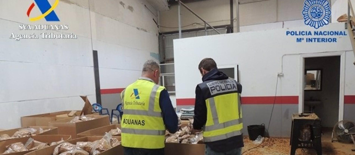 Efectivos de Vigilancia Aduanera de la Agencia Tributaria y de la Policía Nacional en la fábrica clandestina dedicada al contrabando y comercialización ilegal de tabaco en Almodóvar del Río