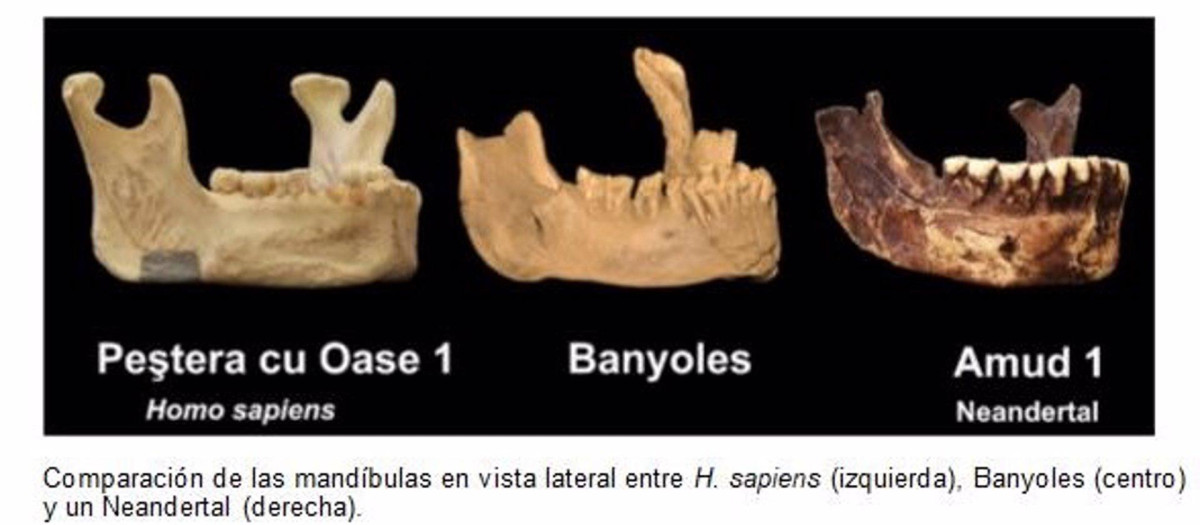 Investigadores españoles prueban la existencia de una especie humana distinta de los neandertales en Europa
SOCIEDAD ESPAÑA EUROPA MADRID SALUD
HM HOSPITALES