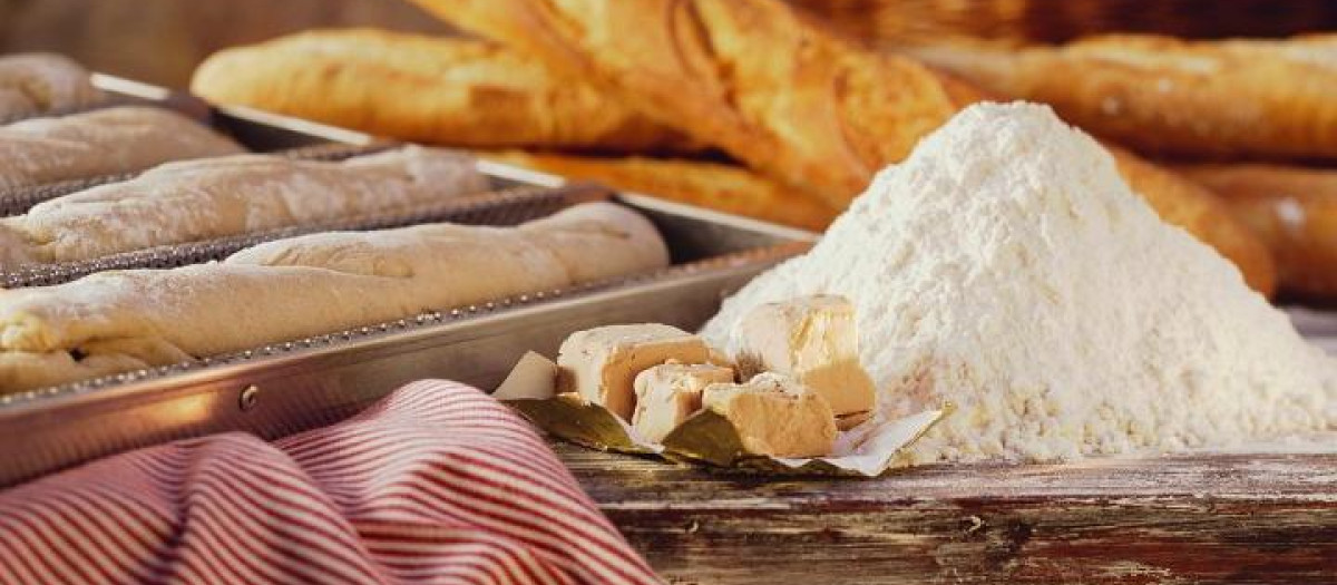 Still life with flour, yeast & baguettes (baked, unbaked)
Asar Baguette Barra de pan Birote Bodegon Bodegon de productos panaderos Bodegones Bodegón Bodegón de productos panaderos Cereales Cocer en el horno Cocina de Europa Cocina de Francia Cocina europea Cocina francesa Diferentes Distinta Distintas Distintos Diversa Diversas Diversos Elaboracion del pan Elaboración del pan Escena de panaderia Escena de panadería Escena de reposteria Escena de repostería Europa Fabricacion del pan Fabricación del pan Francia Freir Freír Harina Horneada Horneado Hornear Imagen principal Ingrediente Ingrediente para hornear Ingredientes Levadura Main-Image Masa de levadura Moyuelo Nadie Naturaleza muerta Pan Pan blanco Pan fermentado Pan frances Pan francés Pasta de levadura Polvo Produccion del pan Producción del pan Producto de cereales Producto de panaderia Producto de panadería Producto de pasteleria Producto de pastelería Producto de trigo Sin cocer Sin hornear Varias Varias comida Varios Varios platos