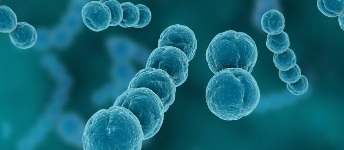 En Inglaterra, 60 personas de todos los grupos de edad han muerto desde septiembre tras ser diagnosticadas con la infección