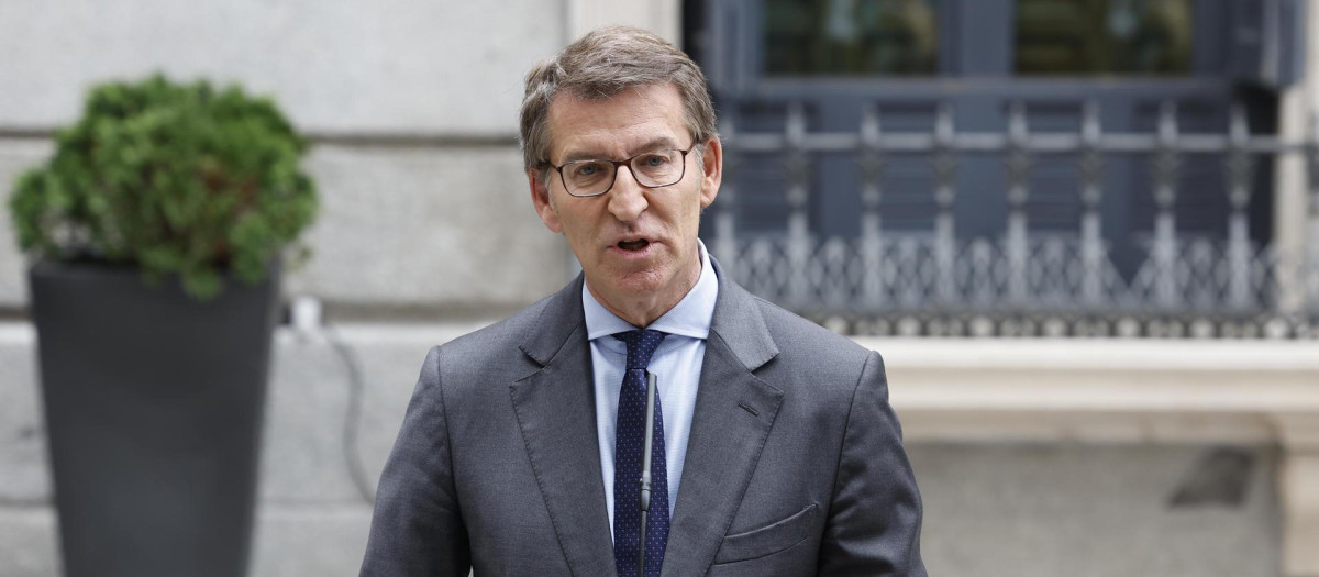 El presidente del Partido Popular, Alberto Núñez Feijóo