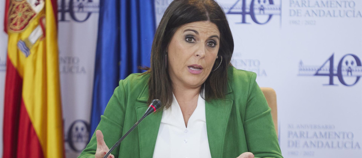 La portavoz socialista en el Parlamento de Andalucía, Ángeles Férriz, dando explicaciones en la sala de prensa de la Cámara autonómica