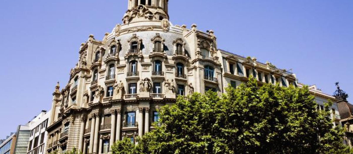 Los beneficios de ver tres árboles desde tu ventana