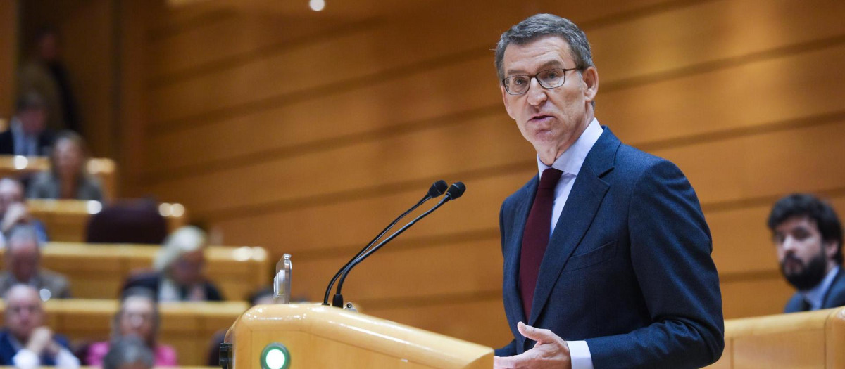 Feijóo interviene en el Pleno del Senado
