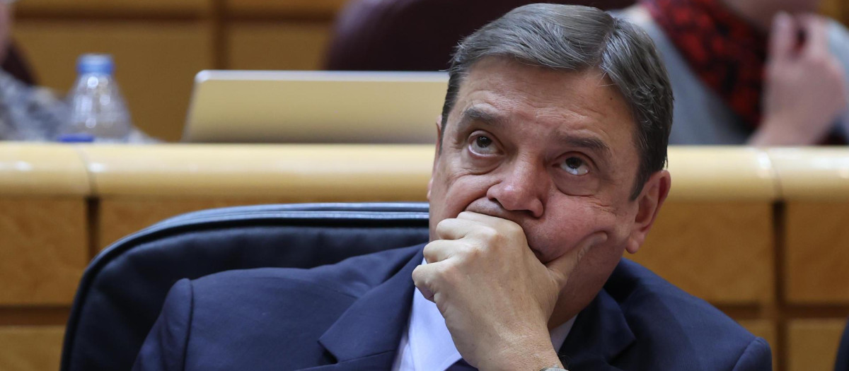 El ministro de Agricultura, Pesca, Alimentación y Medio Ambiente, Luis Planas.