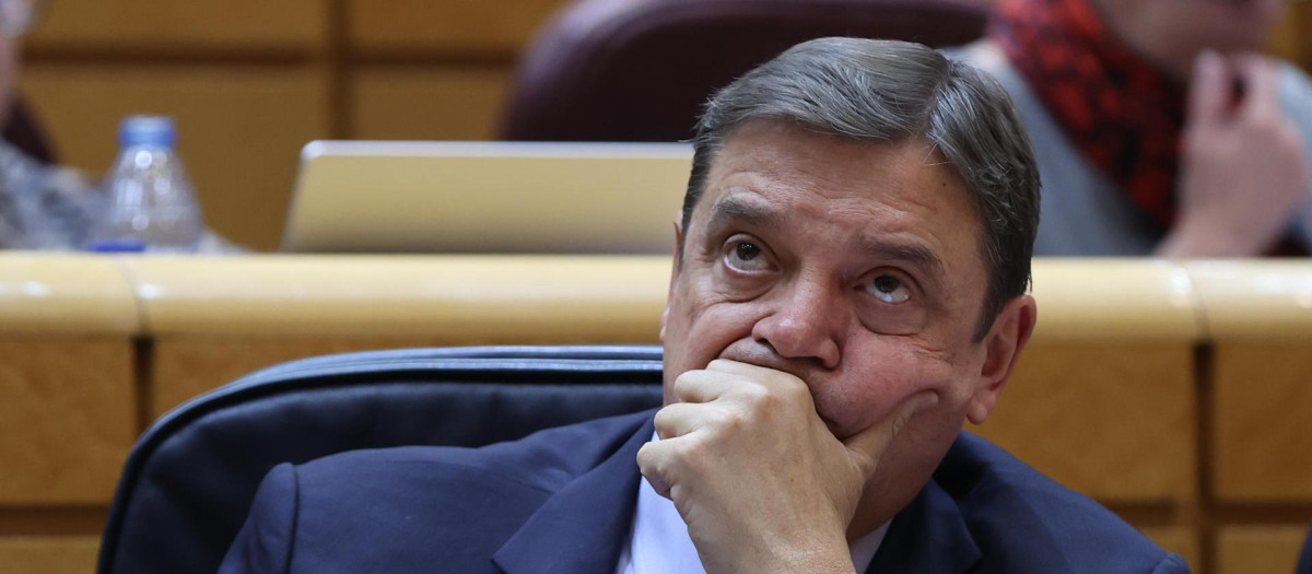 El ministro de Agricultura, Pesca, Alimentación y Medio Ambiente, Luis Planas.