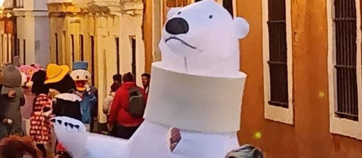 Reaparición de oso de Cádiz casi recuperado