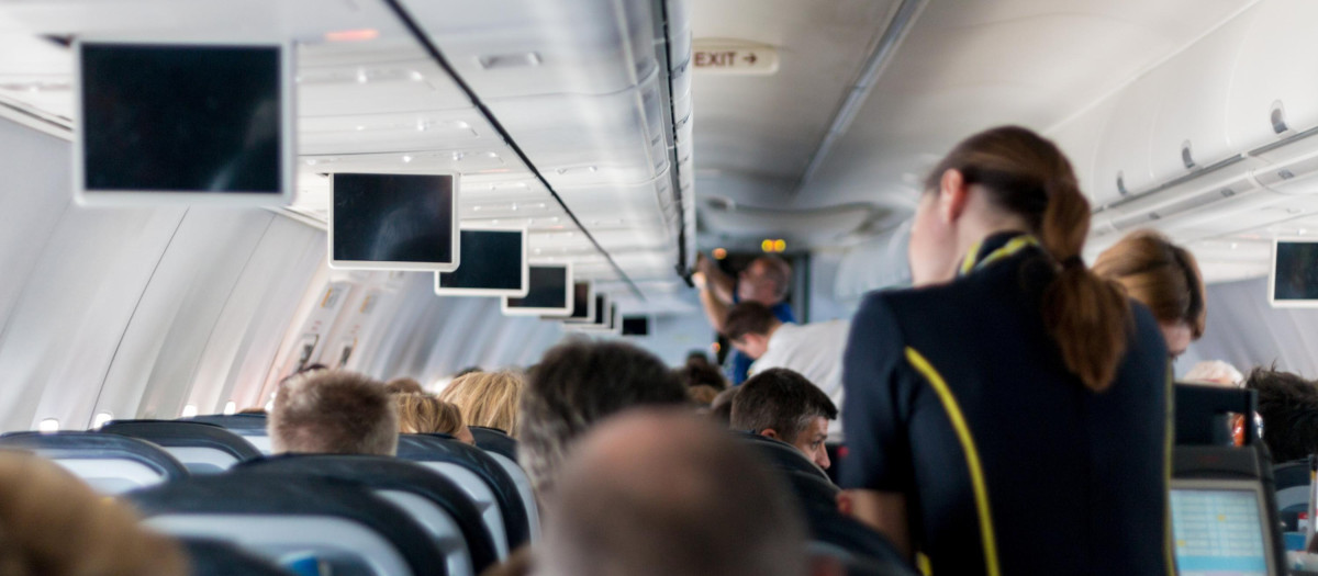 auxiliar vuelo