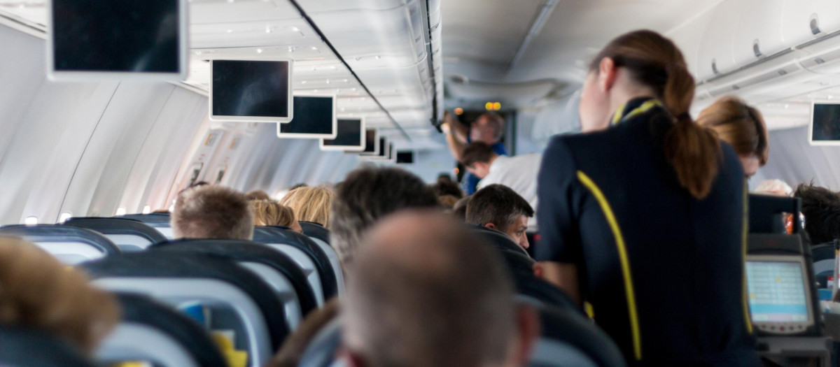 auxiliar vuelo