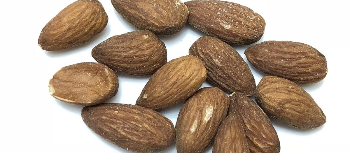 Comer almendras a diario aumenta la molécula de recuperación del ejercicio en un 69 %