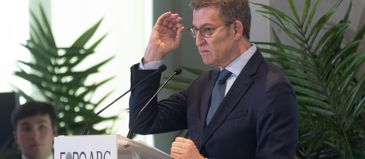 El líder del Partido Popular, Alberto Núñez Feijóo