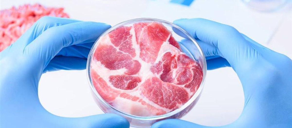 carne laboratorio