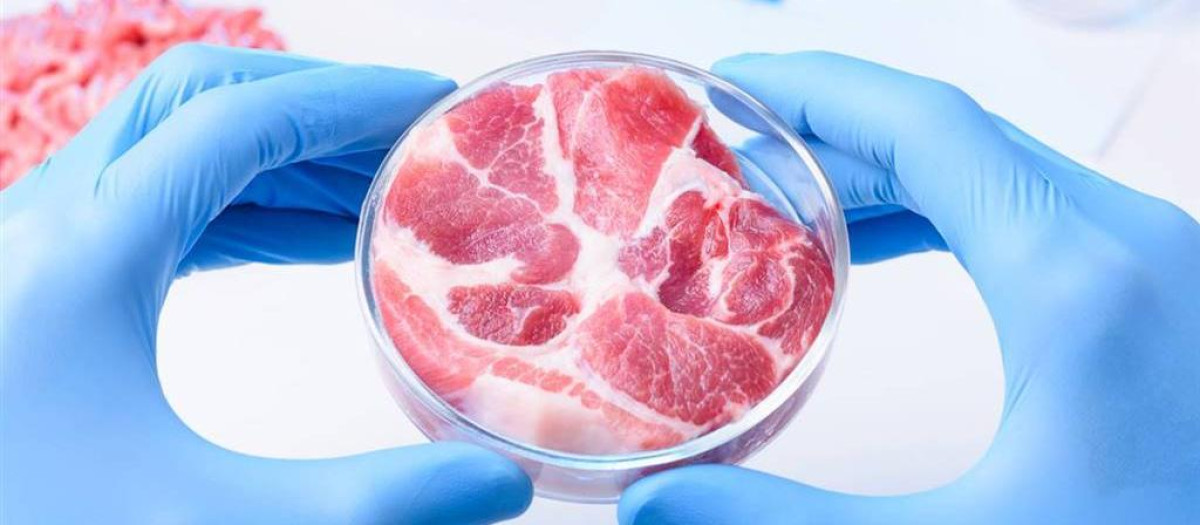 carne laboratorio