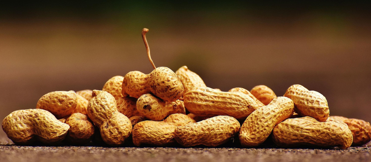 Cacahuetes