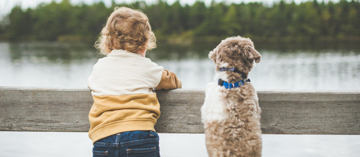 Un niño y un perro