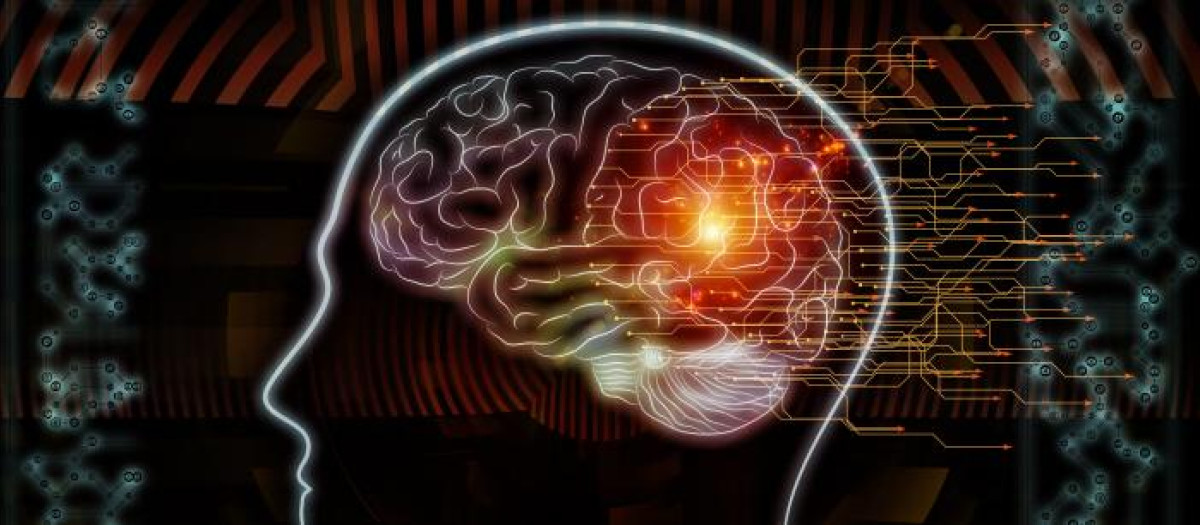 Cerebro