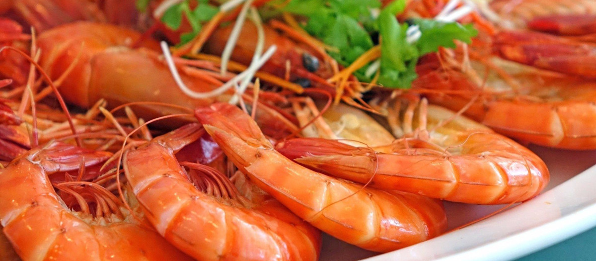 Los ácidos grasos omega 3 del marisco, asociados a un menor riesgo de problemas renales crónicos