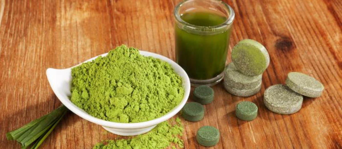 Chlorella