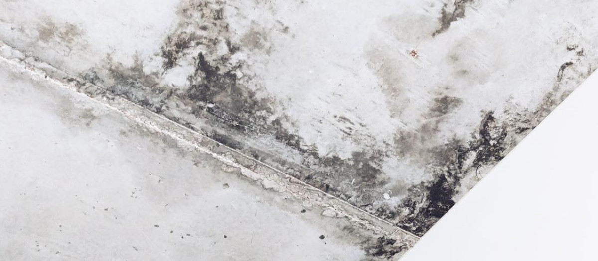 Moho en la pared de una casa