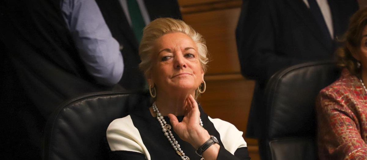 La magistrada del Tribunal Constitucional María Luisa Segoviano Astaburuaga asiste al primer Pleno jurisdiccional