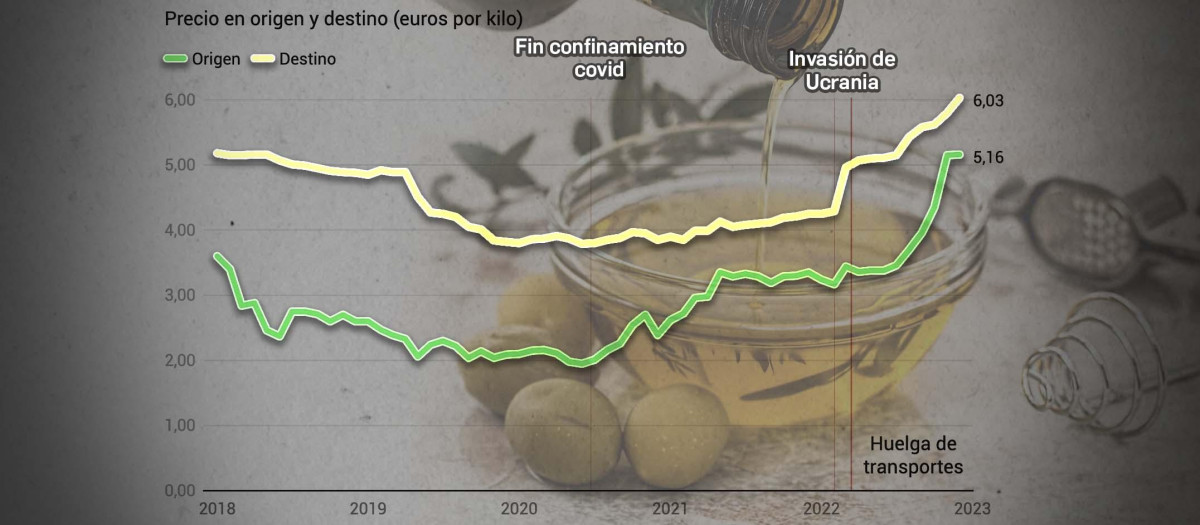 La guerra de Ucrania disparo los precios de este producto básico de nuestra dieta