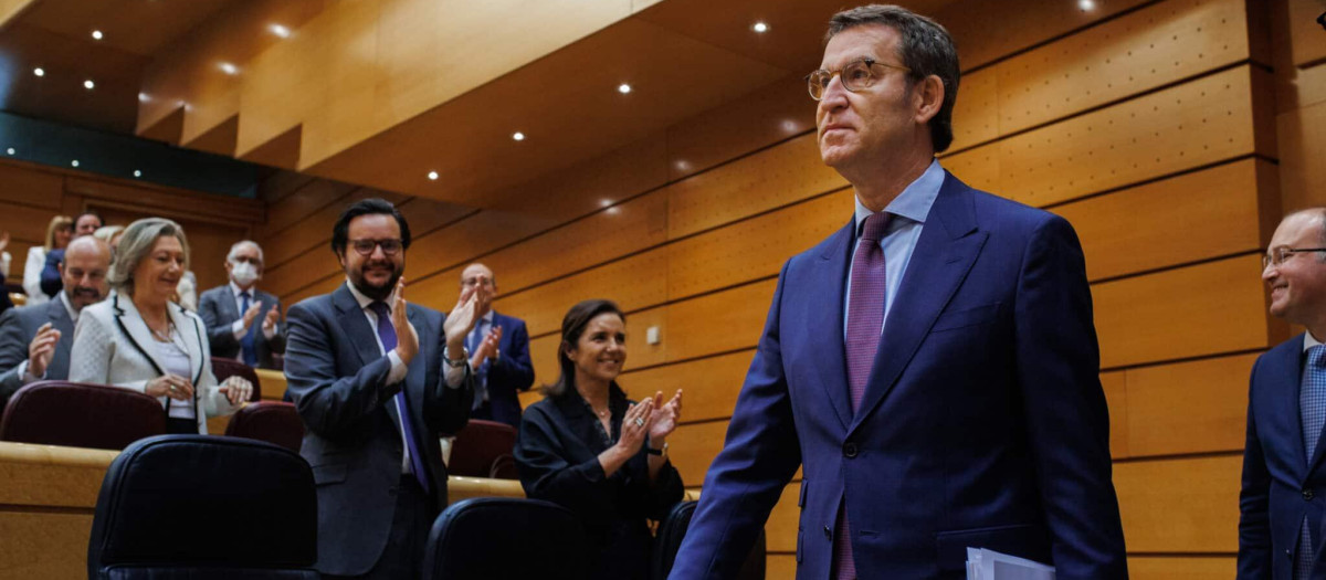 El presidente del PP, Alberto Núñez Feijóo, en el Senado.