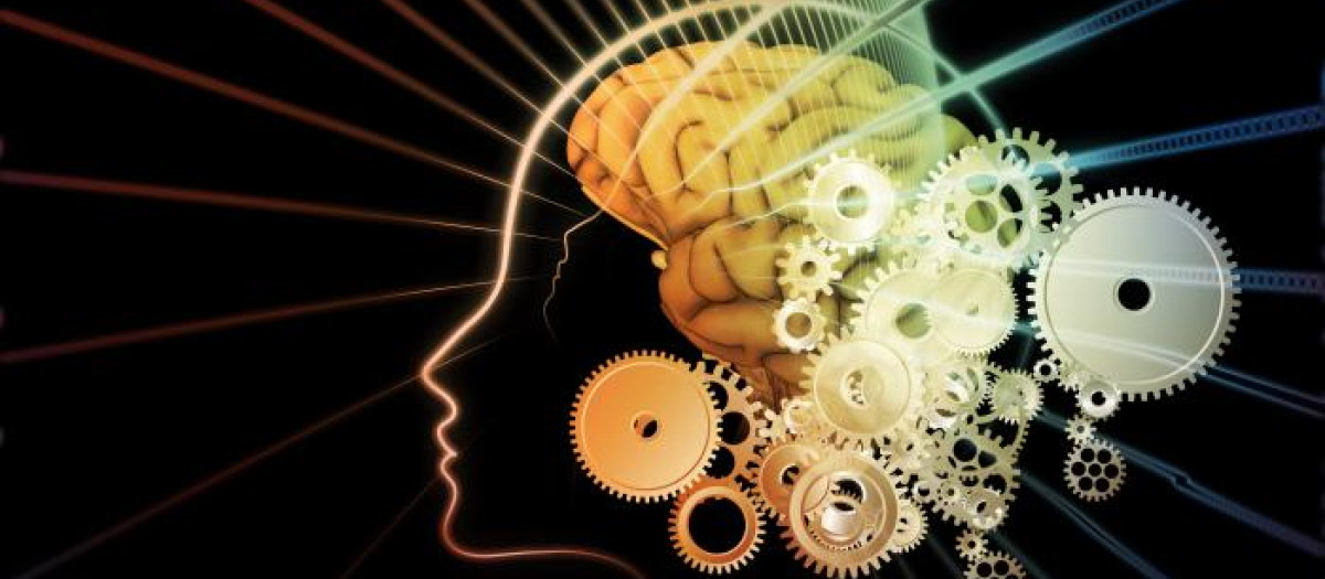 La formación de recuerdos es una de los aspectos más estudiados del cerebro