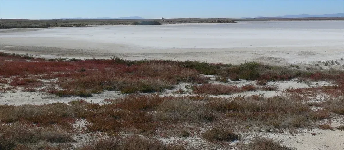 Laguna de Tirez (Toledo)