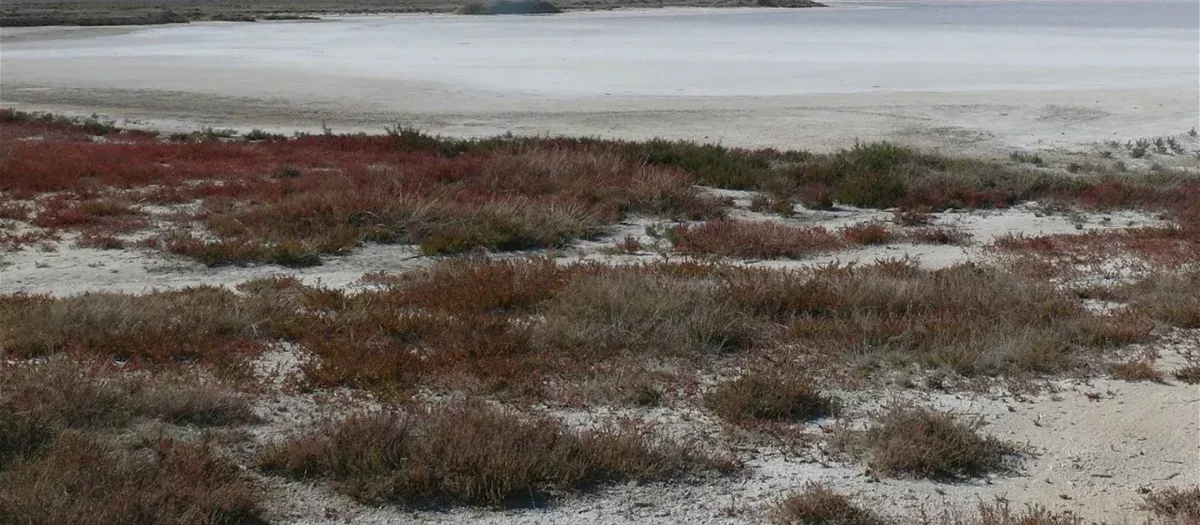 Laguna de Tirez (Toledo)