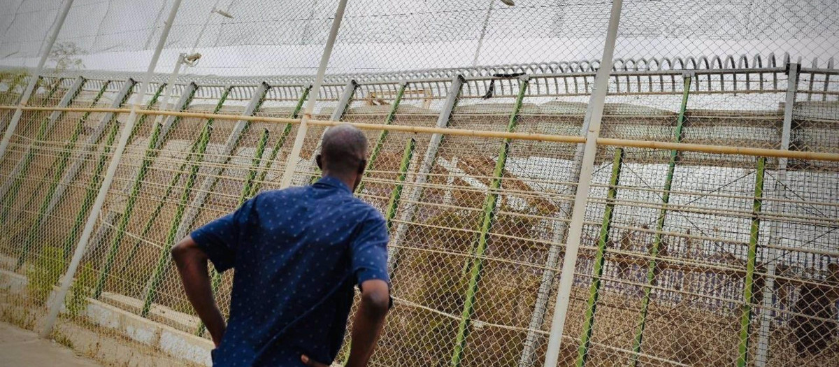 Un inmigrante, frente a la valla de Melilla