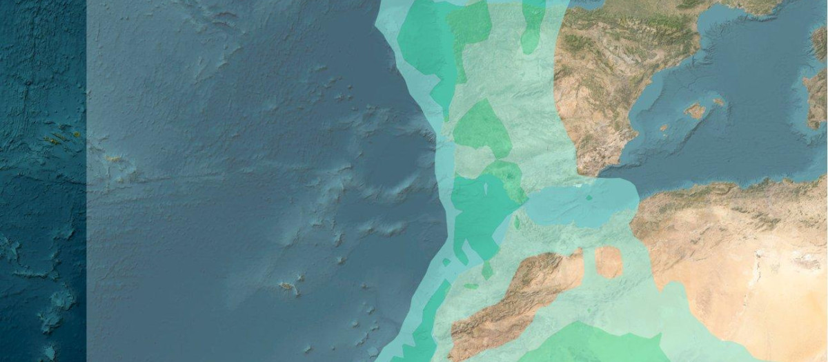 Modelo compartido por la Aemet donde se muestran las zonas afectadas por calima