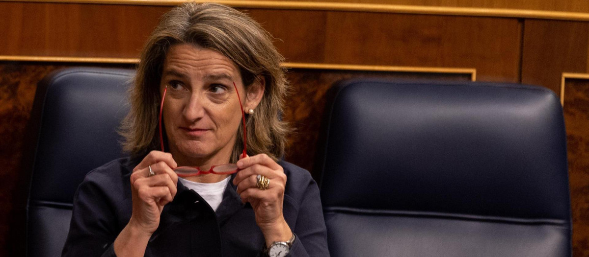 La vicepresidenta tercera y ministra de Transición Ecológica y Reto Democrático, Teresa Ribera, durante una sesión plenaria en el Congreso de los Diputados