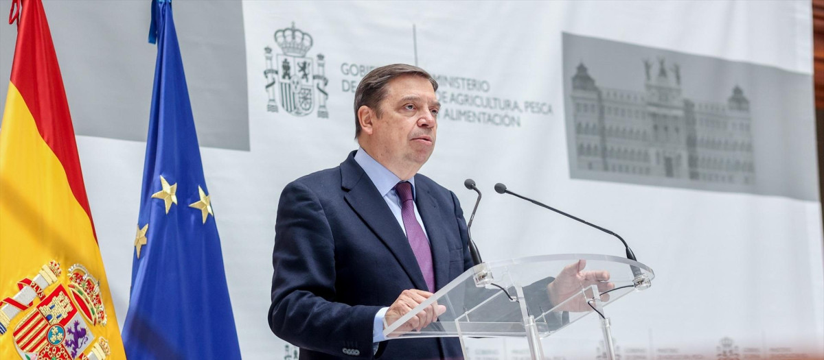 El ministro de Agricultura, Pesca y Alimentación, Luis Planas.